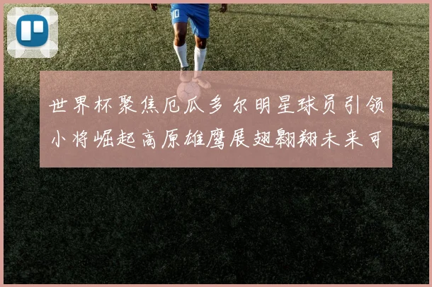 世界杯聚焦厄瓜多尔明星球员引领小将崛起高原雄鹰展翅翱翔未来可期