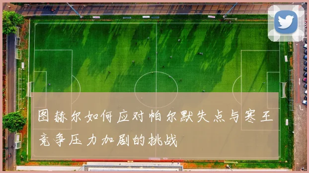 图赫尔如何应对帕尔默失点与寒王竞争压力加剧的挑战